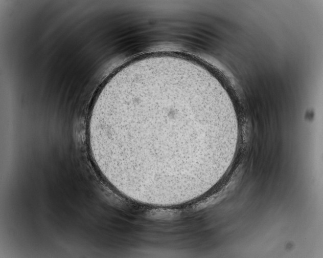 X0000103430929200810241055