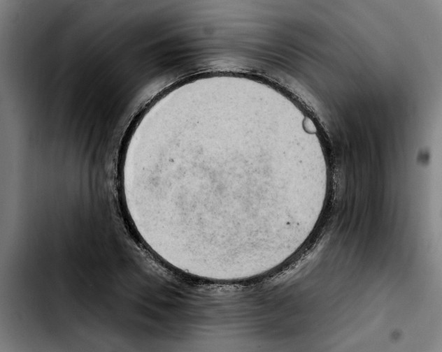 X0000103430930200810241055