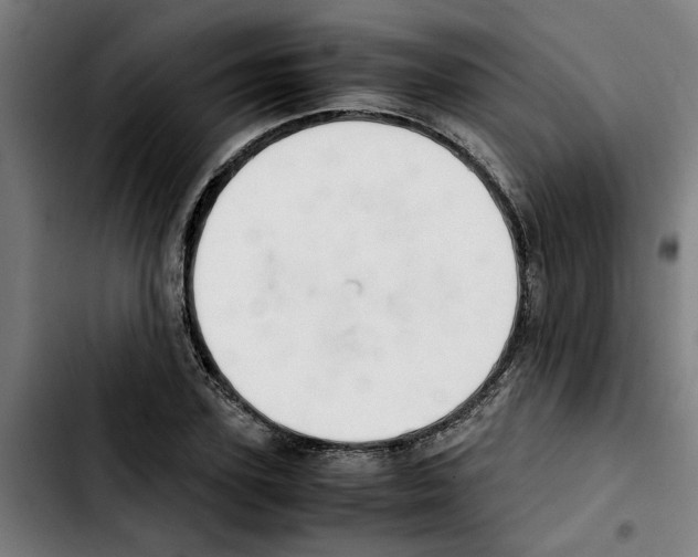 X0000103430931200810241055