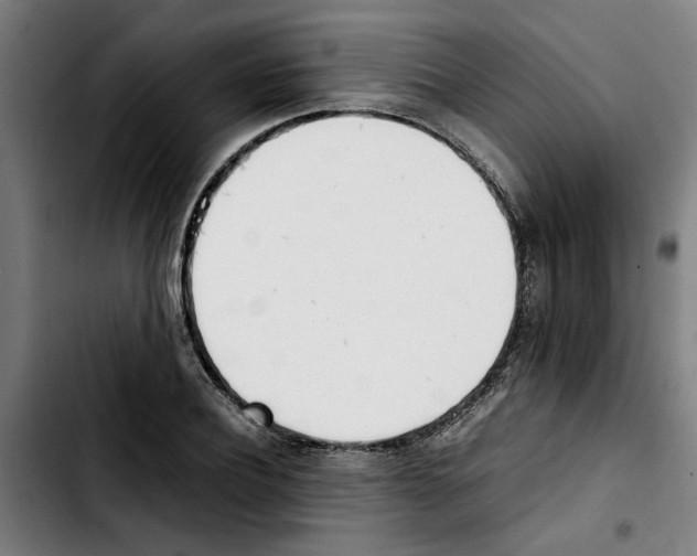 X0000103430932200810241055