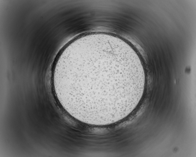 X0000103430933200810241055