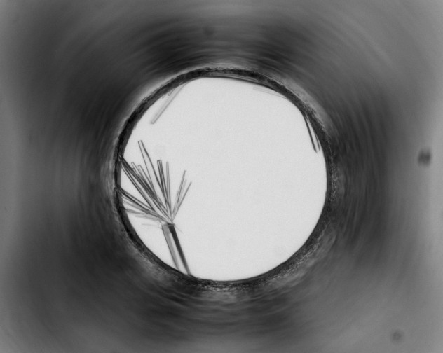X0000103430935200810241055