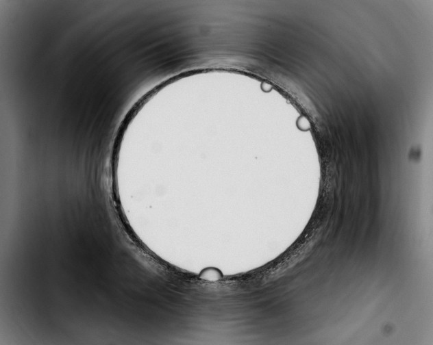 X0000103430936200810241055