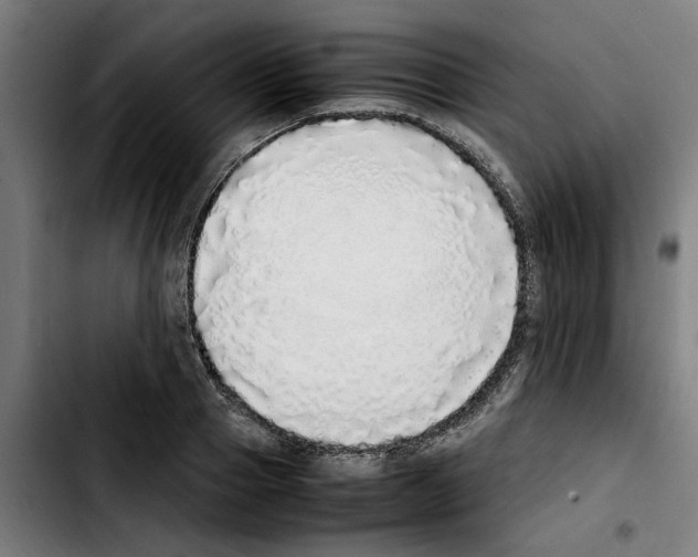X0000103430937200810241055