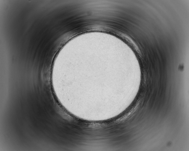 X0000103430938200810241055