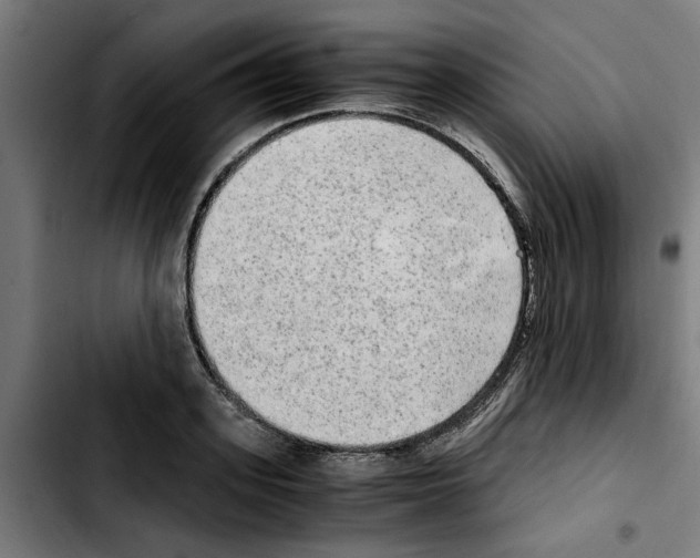 X0000103430939200810241055