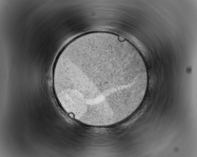 X0000103430940200810241055