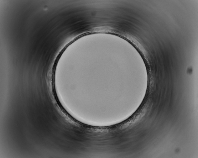 X0000103430941200810241055