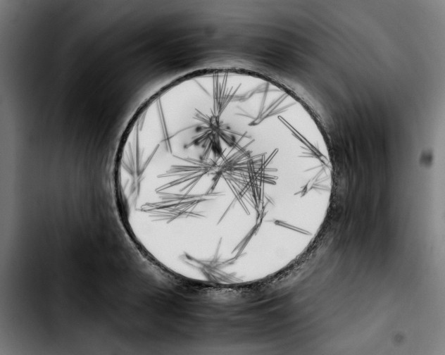 X0000103430943200810241055