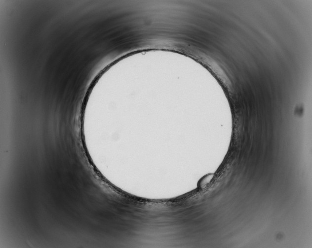 X0000103430944200810241055