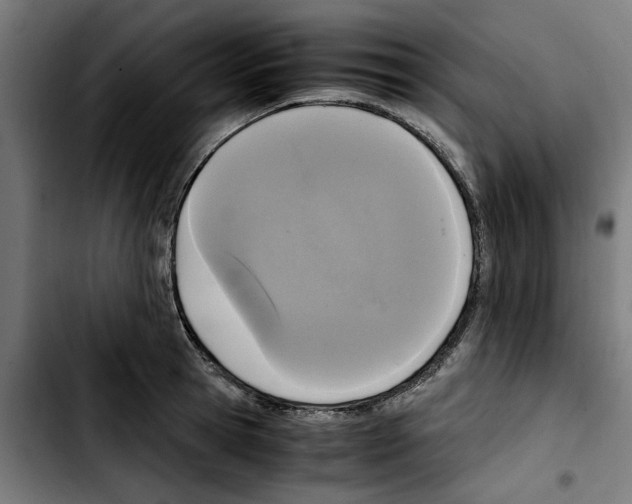 X0000103430945200810241055