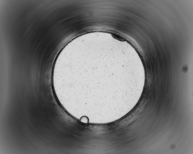 X0000103430946200810241055