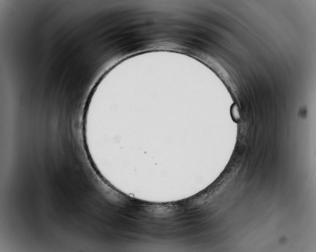 X0000103430947200810241055
