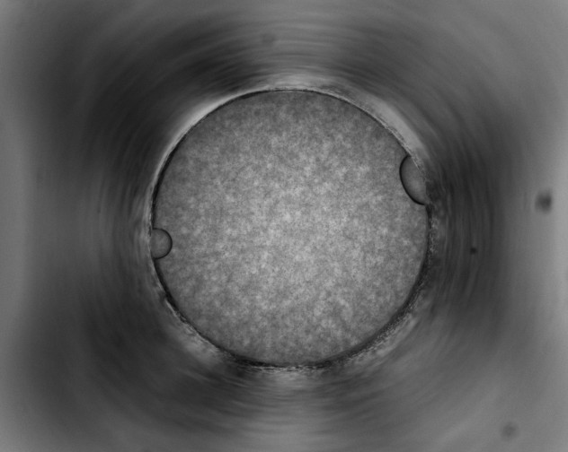 X0000103430948200810241055