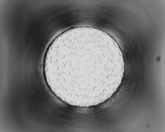 X0000103430949200810241055