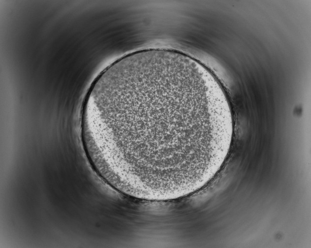 X0000103430950200810241055