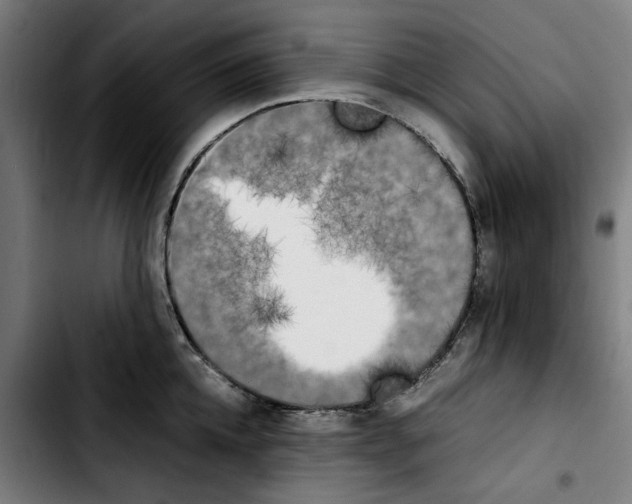 X0000103430952200810241055