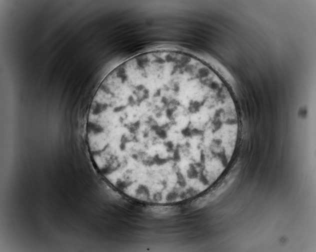 X0000103430953200810241055