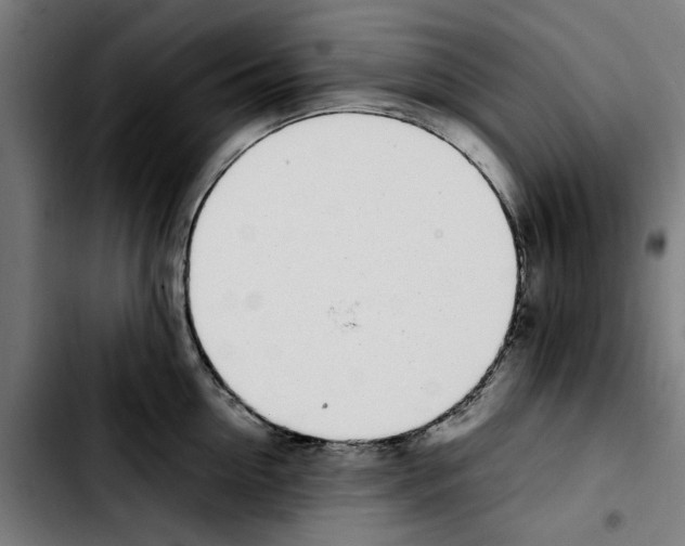 X0000103430954200810241055
