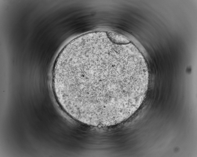 X0000103430955200810241055