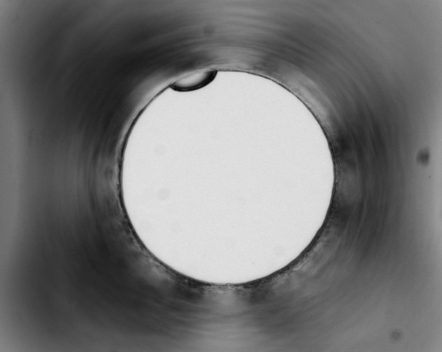 X0000103430956200810241055