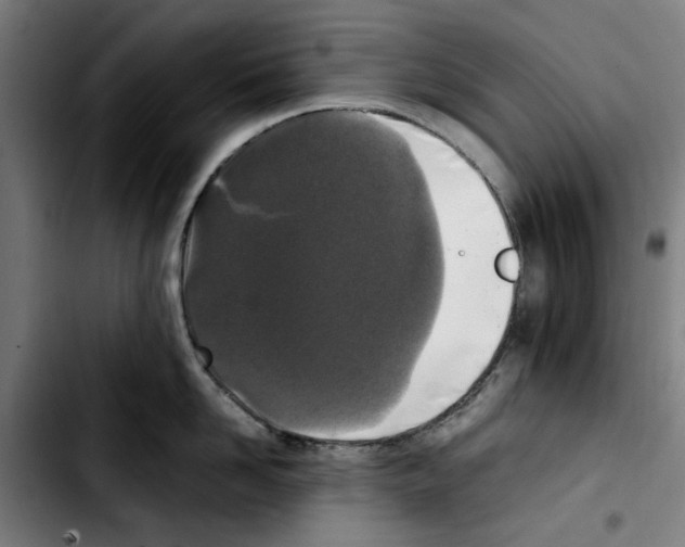 X0000103430958200810241055