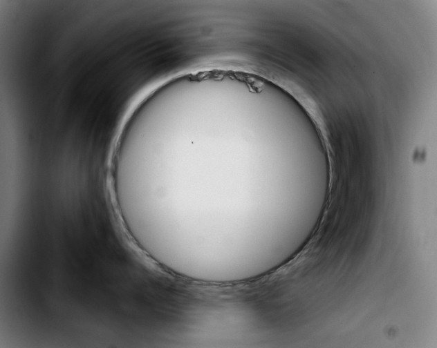 X0000103430960200810241055