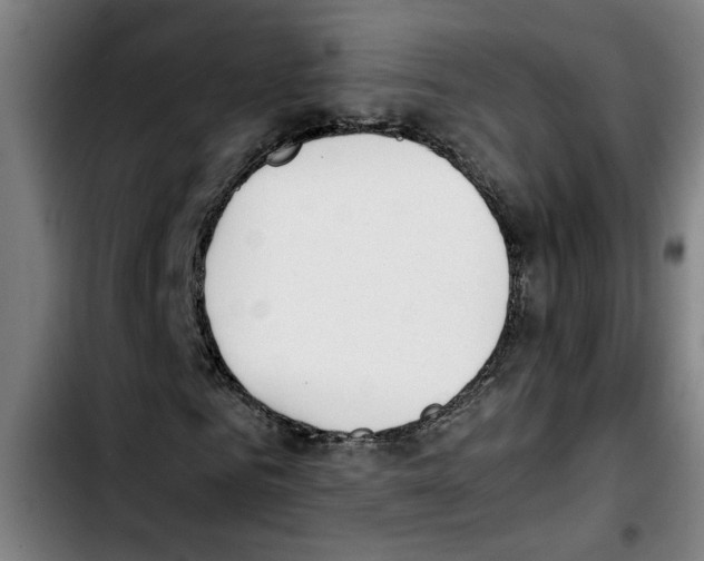 X0000103430961200810241055