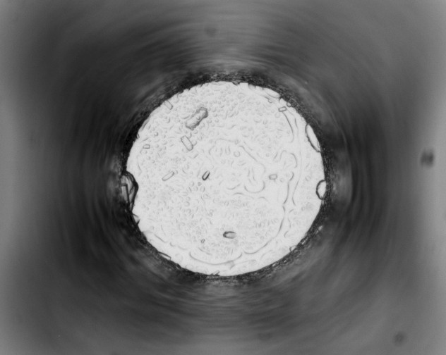 X0000103430964200810241055