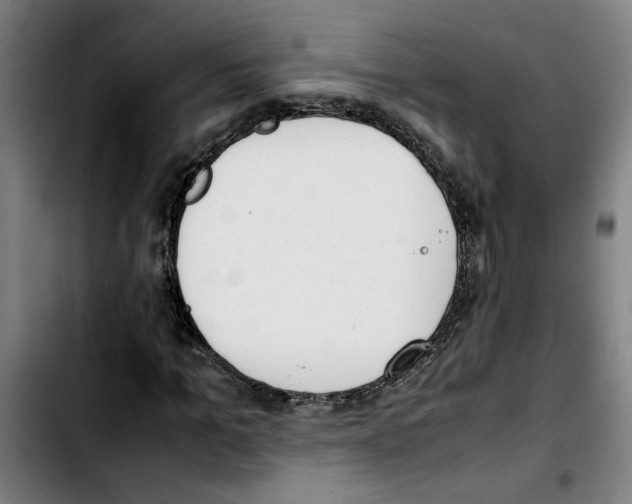 X0000103430965200810241055