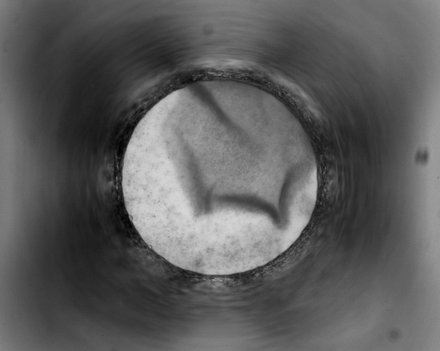 X0000103430966200810241055