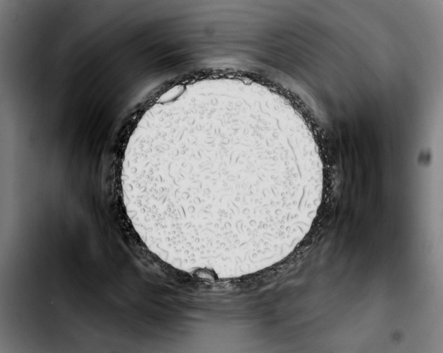X0000103430968200810241055