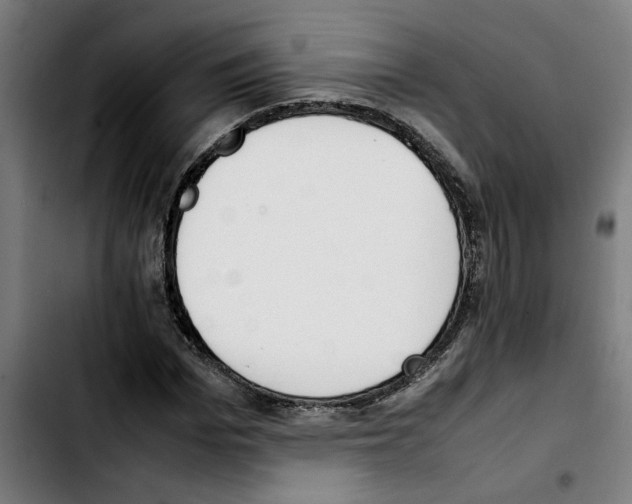X0000103430969200810241055