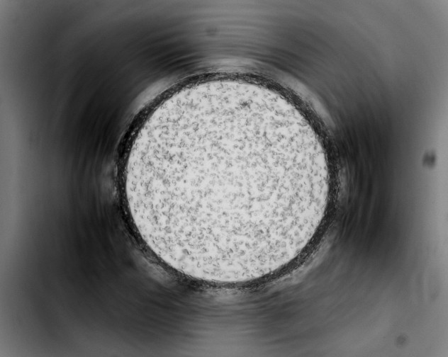 X0000103430970200810241054