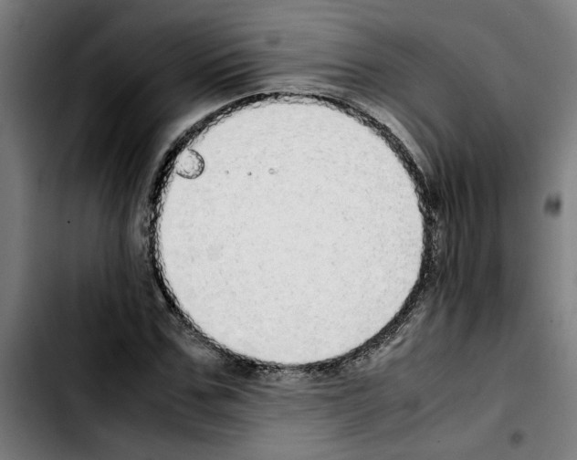 X0000103430971200810241054