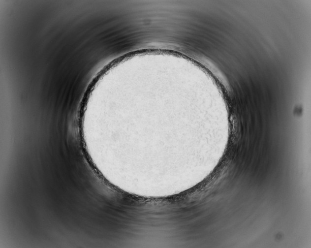 X0000103430972200810241054