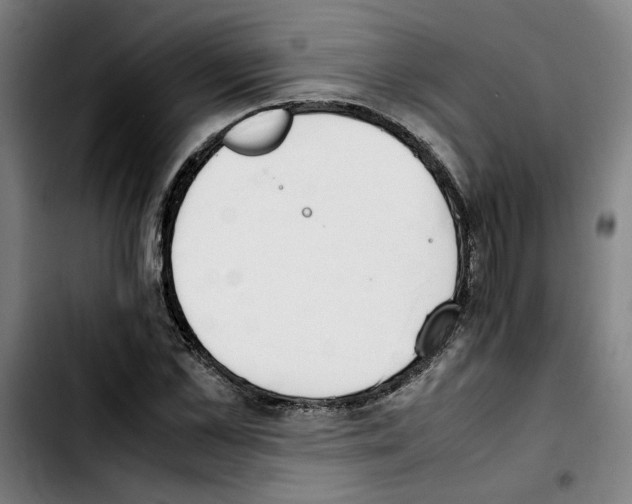 X0000103430973200810241054