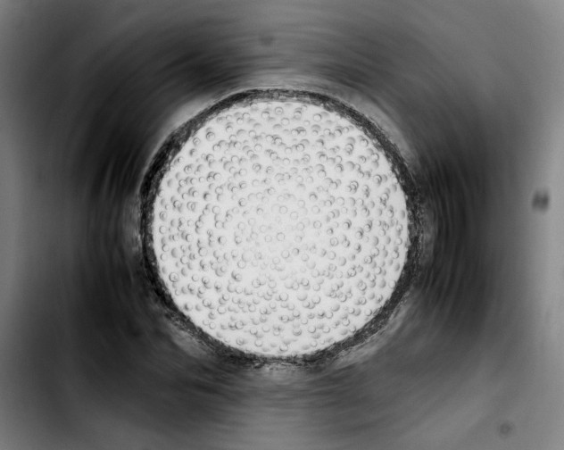 X0000103430974200810241054