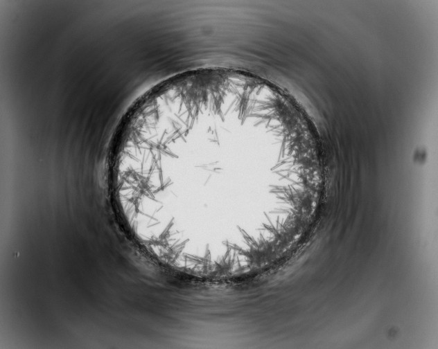 X0000103430975200810241054