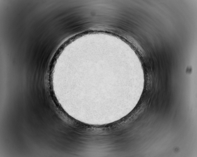 X0000103430976200810241054
