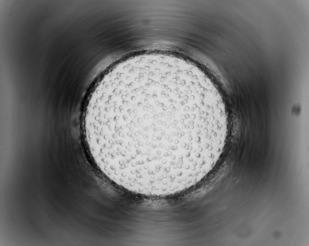 X0000103430978200810241054