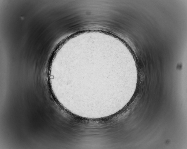 X0000103430979200810241054