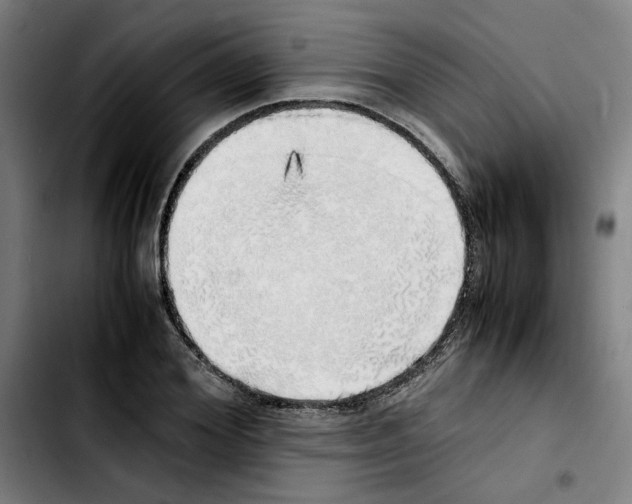 X0000103430980200810241054
