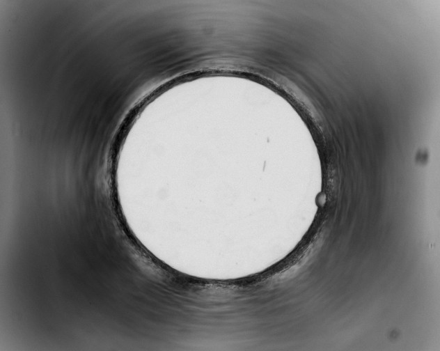 X0000103430981200810241054