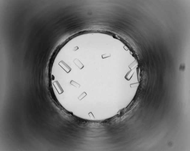 X0000103430982200810241054