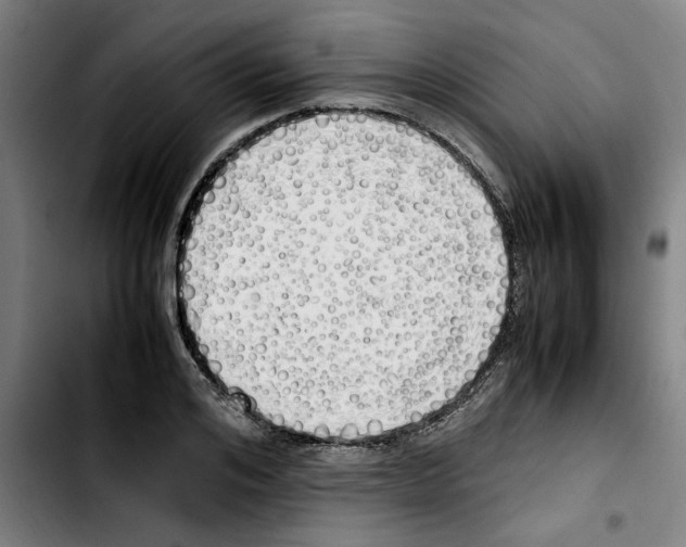 X0000103430984200810241054