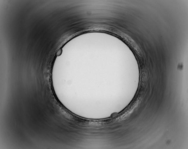 X0000103430985200810241054