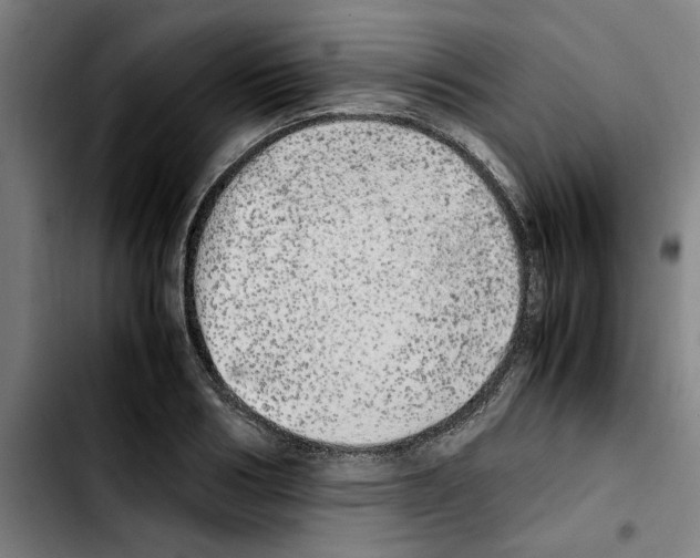 X0000103430986200810241054