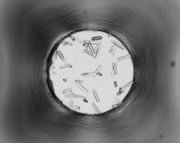 X0000103430987200810241054