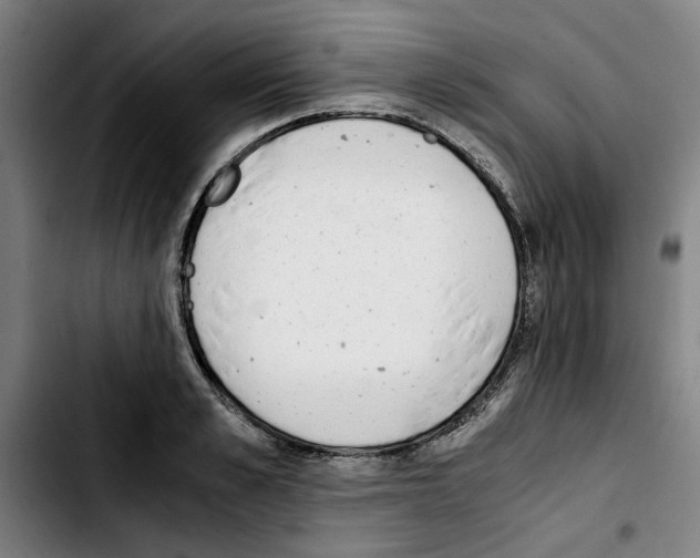 X0000103430989200810241054